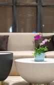 Туры в отель Vance International Hotel (Linhai Duqiao)