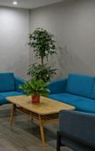 Туры в отель Shankee Hotel (Luoyang Normal University)