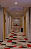 Туры в отель Shankee Hotel (Luoyang Normal University)