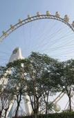 Туры в отель SUNRISE Hotel (Shenzhen Bao'an Airport)