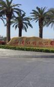 Туры в отель SUNRISE Hotel (Shenzhen Bao'an Airport)