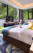 Туры в отель Linshan Light Luxury Smart Hotel (Yangshuo West Street)