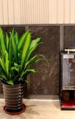 Туры в отель Grand Skylight Hotel Longnan