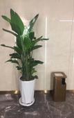 Туры в отель Mei Feng Hotel
