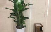 Туры в отель Mei Feng Hotel