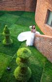 Туры в отель DongFengYun Hotel Mi'Le - MGallery Collection