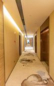 Туры в отель Yihu Xiyue Hotel