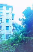 Туры в отель OYO Zhuji Pingle Hotel (Triangle Square)