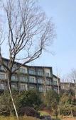 Туры в отель Maoshan Oriental Salt Lake City Mountain Hidden Su