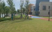 Туры в отель Crystal Orange Shanghai Lingang Ocean Park Hotel