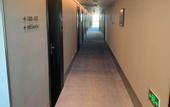 Туры в отель Crystal Orange Shanghai Lingang Ocean Park Hotel