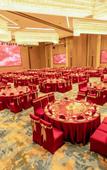 Туры в отель Flamingo Harbour Hotel