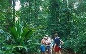 Туры в отель Los Suenos Marriott Ocean & Golf Resort