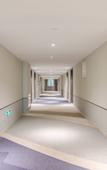 Туры в отель Ease Hotel(jinshankou store, tianwaicun, Taishan Scenic Area)