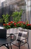 Туры в отель Homeinn Plus Hotel (Xiamen Zhongshan Road Botanical Garden)
