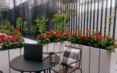 Туры в отель Homeinn Plus Hotel (Xiamen Zhongshan Road Botanical Garden)