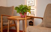 Туры в отель Pebble Motel(Guxiancheng)