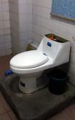 Туры в отель Holiday Inn Shanghai Dianhu (Zhujiajiao Scenic Area Ancient Town)