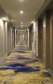 Туры в отель GreenTree Eastern Hotel (Wensu Aksu Airport)