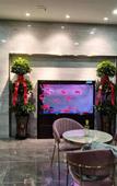 Туры в отель GreenTree Eastern Hotel (Wensu Aksu Airport)