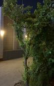 Туры в отель Beijing Yage Hotel