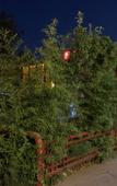 Туры в отель Beijing Yage Hotel