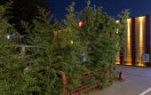 Туры в отель Beijing Yage Hotel