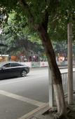 Туры в отель Chongqing Yijian Hotel (Hechuan Wenfeng Ancient Street)