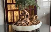 Туры в отель Rufeng Hotel (Qufu East High-speed Railway Station)