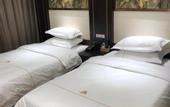 Туры в отель Rufeng Hotel (Qufu East High-speed Railway Station)