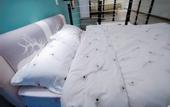 Туры в отель Meet Hotel