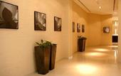 Туры в отель Lotus Grand Hotel Apartments Deira