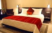 Туры в отель Lotus Grand Hotel Apartments Deira