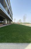 Туры в отель Holiday Inn Shanghai Chongming