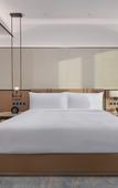 Туры в отель DoubleTree by Hilton Shenzhen Airport