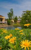 Туры в отель Ocean Spring Resort Chengdu - MGallery