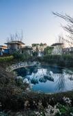 Туры в отель Ocean Spring Resort Chengdu - MGallery