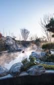 Туры в отель Ocean Spring Resort Chengdu - MGallery