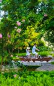 Туры в отель Ocean Spring Resort Chengdu - MGallery