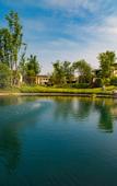 Туры в отель Ocean Spring Resort Chengdu - MGallery