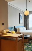 Туры в отель Hilton Garden Inn Changchun Economic Development Zone