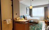 Туры в отель Hilton Garden Inn Changchun Economic Development Zone