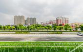 Туры в отель Hilton Garden Inn Changchun Economic Development Zone