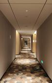 Туры в отель Hilton Garden Inn Changchun Economic Development Zone