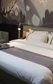 Туры в отель Shankee Hotel (Dongguan Dalang Woolen Trade Center)