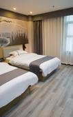 Туры в отель Shankee Hotel (Dongguan Dalang Woolen Trade Center)