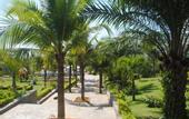 Туры в отель Lotus Muine Resort & Spa