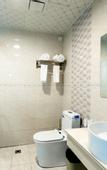 Туры в отель Shankee Hotel (Taixing Xinjie Town)