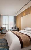 Туры в отель Greentree Eastern Hotel (Tianjin Wuqing Wanda Plaza)