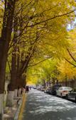 Туры в отель GreenTree Inn Express Hotel (Chengdu North Railway Station Saiyuntai Metro Station)